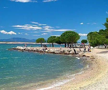 Behija 1 Cikvenica *
