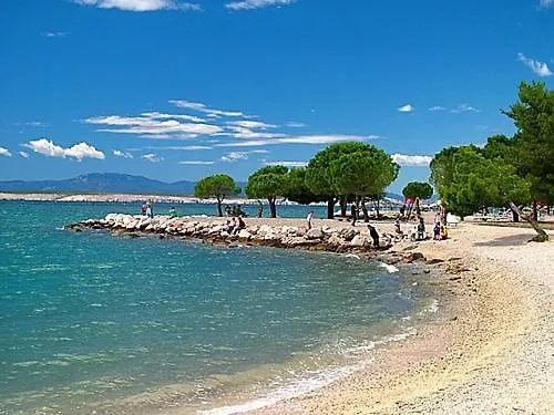 Behija 1 Cikvenica *