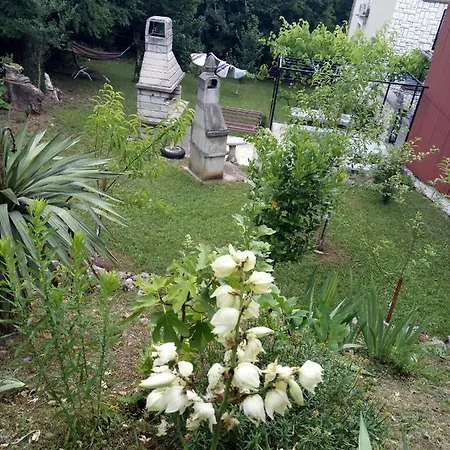 Behija 1 Cikvenica *