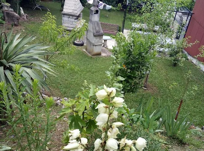 Behija 1 Cikvenica *